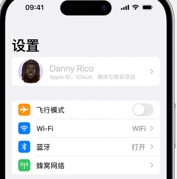 娄烦appleID维修服务iPhone设置中Apple ID显示为灰色无法使用 