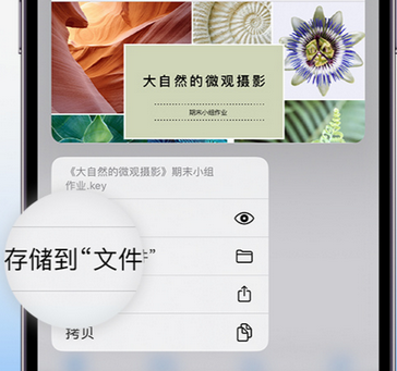 娄烦apple维修中心分享iPhone文件应用中存储和找到下载文件