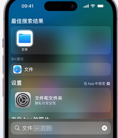 娄烦apple维修中心分享iPhone文件应用中存储和找到下载文件 