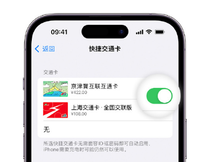 娄烦apple维修点分享iPhone上更换Apple Pay快捷交通卡手绘卡面 