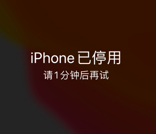 娄烦苹果手机维修分享:iPhone 显示“不可用”或“已停用”怎么办？还能保留数据吗？ 