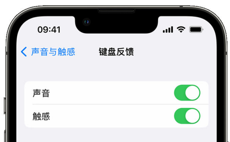 娄烦苹果手机维修分享iPhone 14触感键盘使用方法 