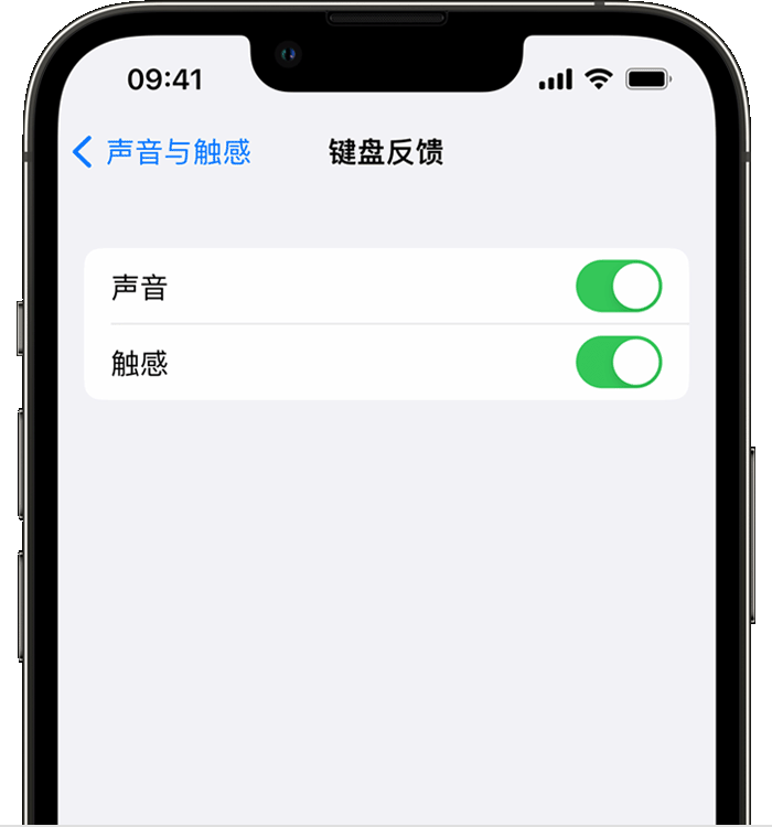 娄烦苹果14维修店分享如何在 iPhone 14 机型中使用触感键盘 