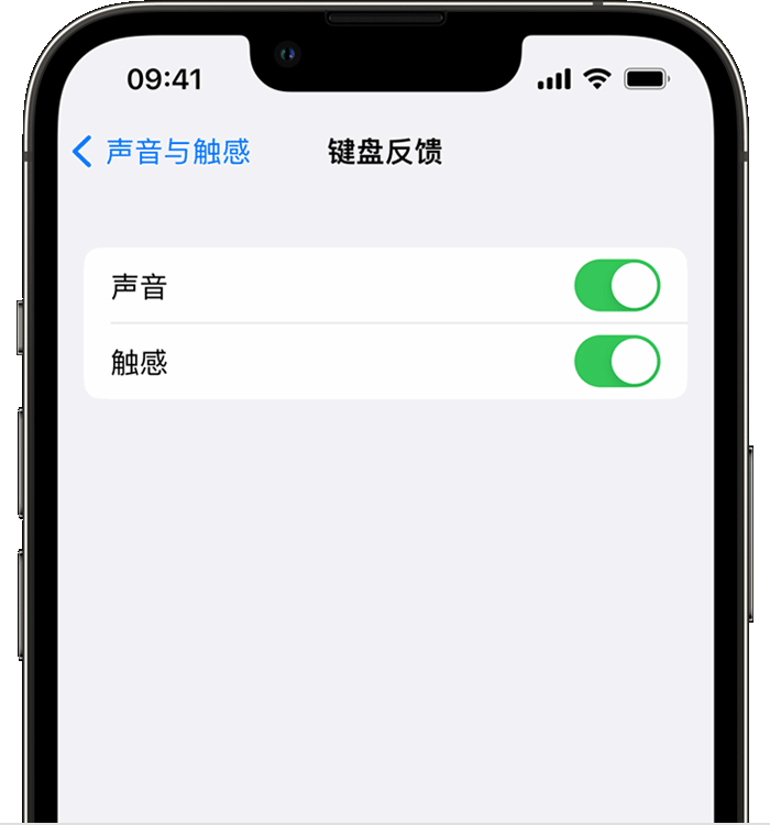 娄烦苹果14维修分享iPhone 14 系列机型如何开启键盘声音或触感反馈 