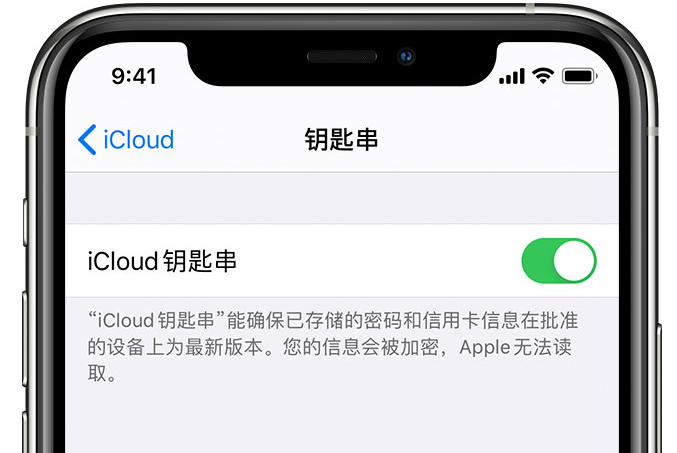 娄烦苹果手机维修分享在 iPhone 上开启 iCloud 钥匙串之后会储存哪些信息 