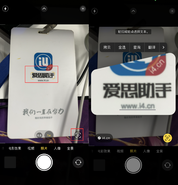 娄烦苹果手机维修分享升级iOS 16后如何通过相机翻译文本 