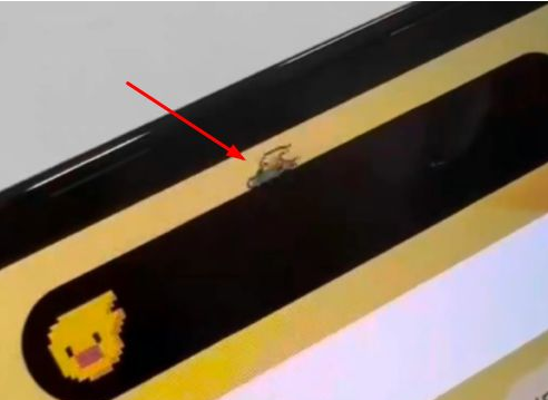娄烦苹果14维修分享iPhone 14 Pro Max灵动岛怎么养宠物 